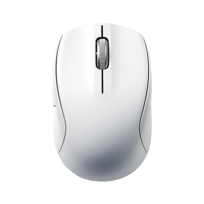 Computer Mouse -1